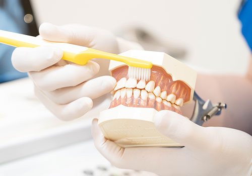 予防歯科/定期検診